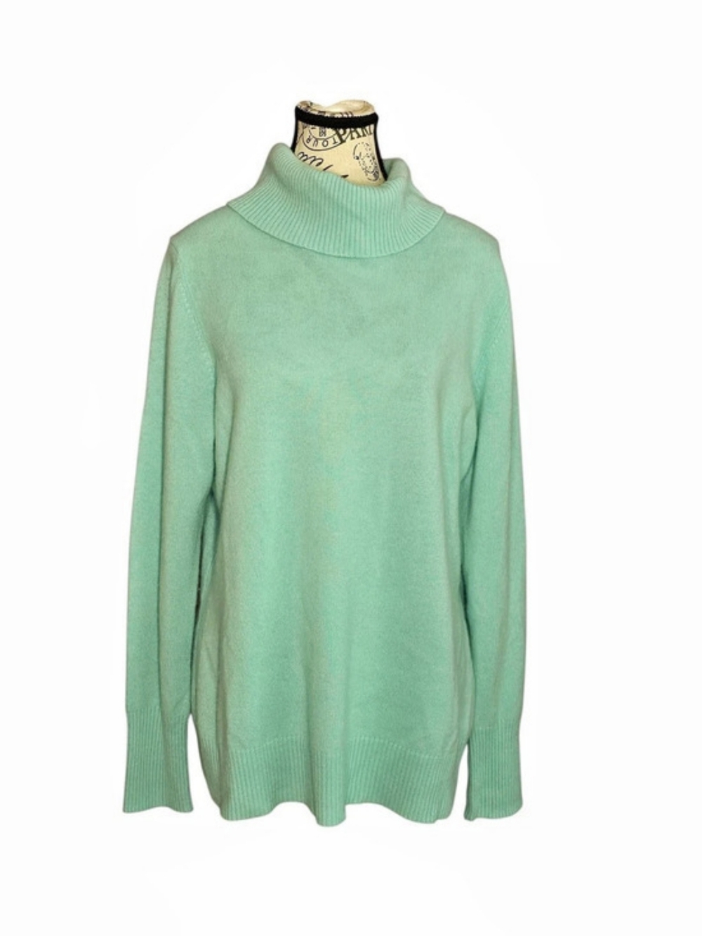 Victor Alfaro Pure Cashmere Turtleneck Sweater in Aqua Mint Green Minimalist